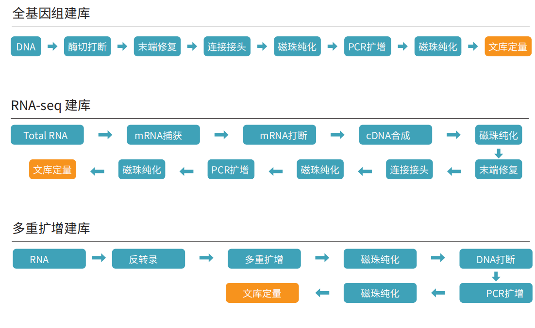 睿科_Vitae 180 NGS-96建庫儀 202504_03(1).png